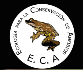 Logo ECA